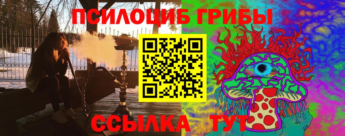 Кулебаки  Галлюциногенные грибы Cubensis  Вход с VPN 