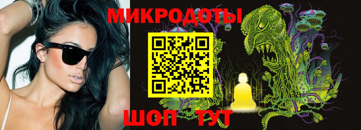 Галлюциногенные грибы Кулебаки